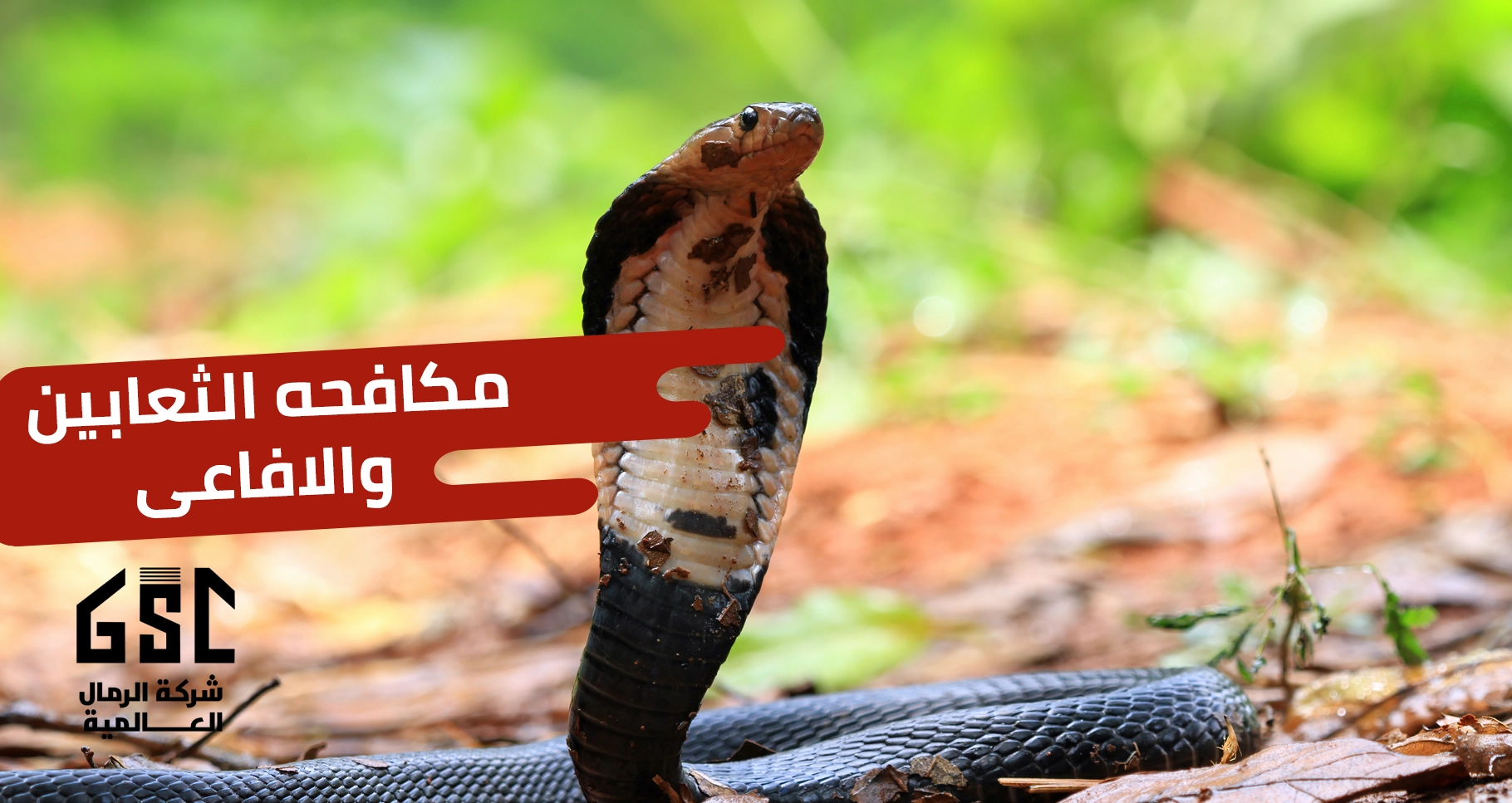 مكافحة الثعابين و الأفاعي